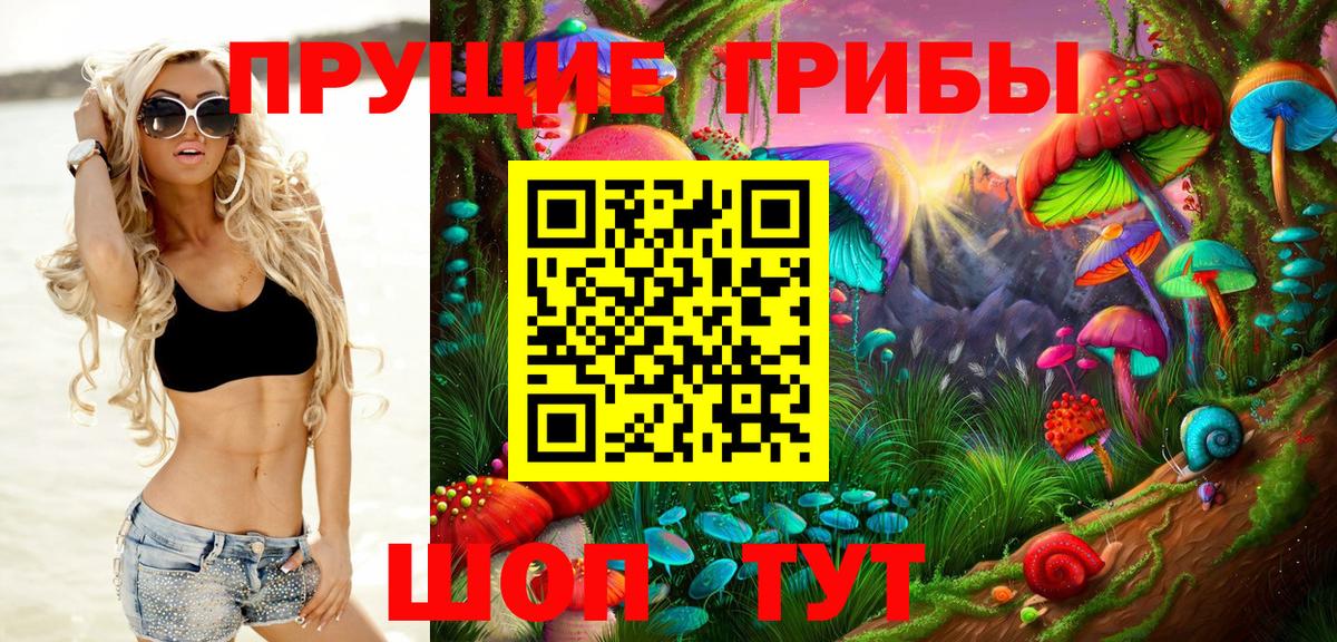Галлюциногенные грибы MAGIC MUSHROOMS  Вход с VPN  Камышлов  Галлюциногенные грибы Magic Shrooms 